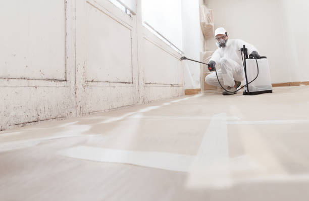 24/7 Emergency Mold Remediation experts in Lithia, FL
